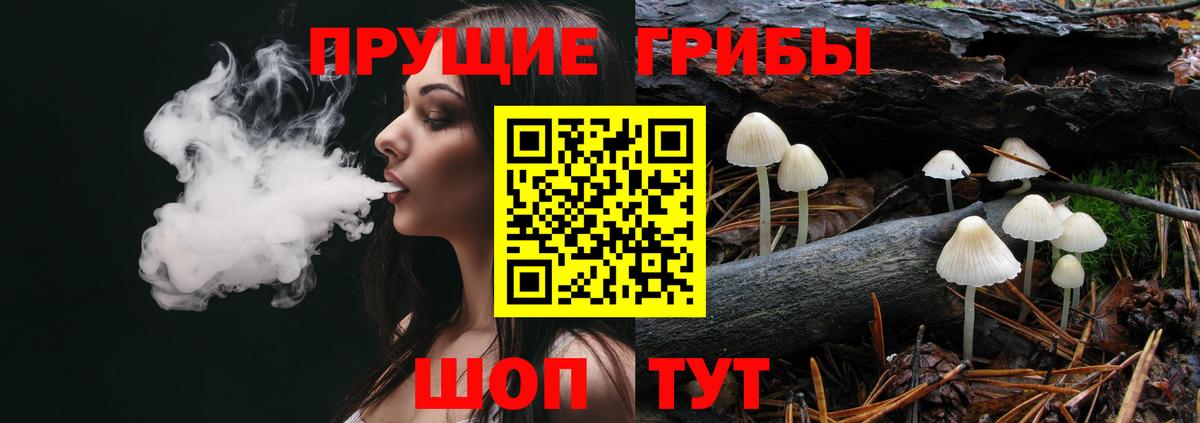 Галлюциногенные грибы Magic Shrooms Зима