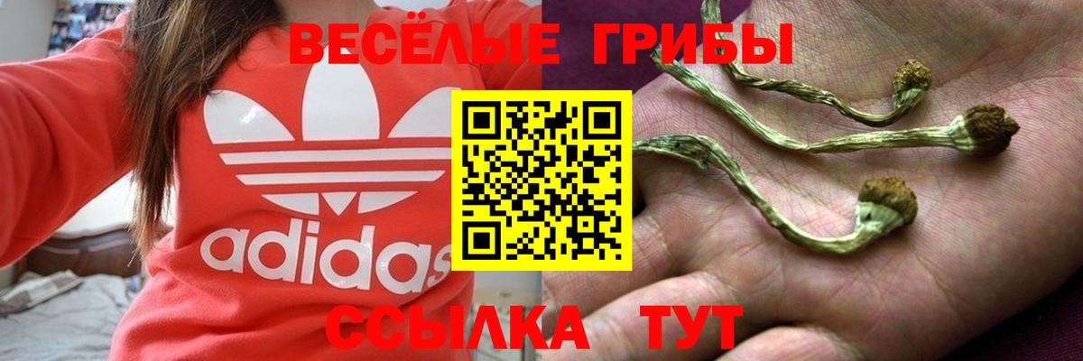 где купить наркоту  Галлюциногенные грибы Magic Shrooms  Вход с VPN  Зима 